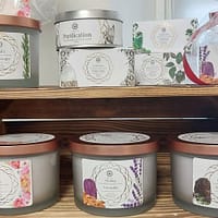 Bougie green Tree croissance intérieure pierre de lune + menthe