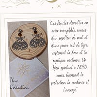 2025/05/1000045472.png Boucles d'oreilles papillon de nuit - pierre œil de tigre