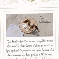 2025/05/1000045473.png Boucles d'oreilles phase lunaire - œil de tigre