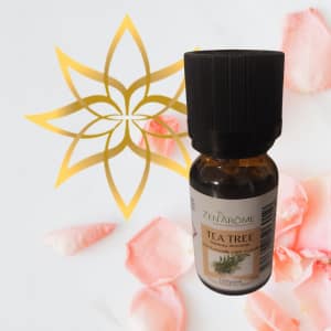 2025/01/1000038358.png Huile essentielle arbre à thé - tea Tree