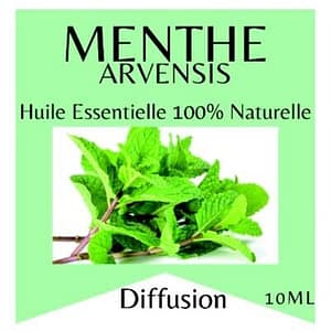 huile essentielle menthe huile essentielle menthe