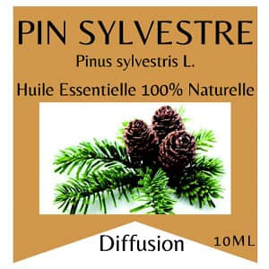 pin sylvestre huile essentielle pin sylvestre