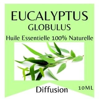 2025/01/1000038367.jpg Huile essentielle eucalyptus