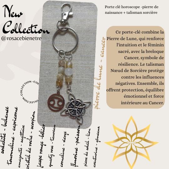 porte cle cancer porte clés - bijoux de sac avec pierres et breloques