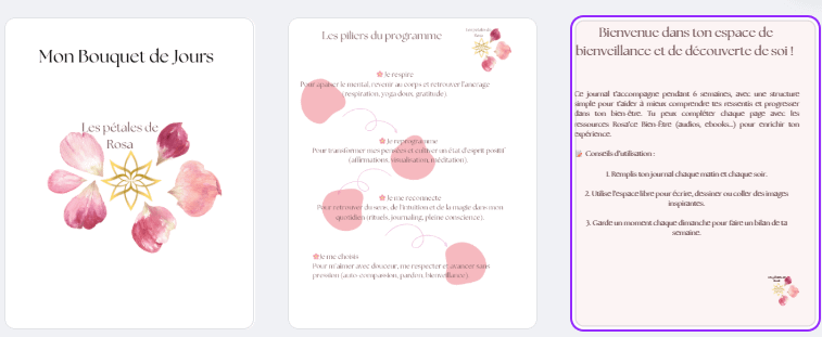 extrait Journal : Mon bouquet de jours - Les pétales de Rosa