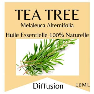 Huile essentielle arbre à thé - tea Tree