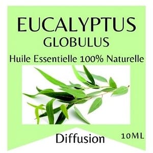 2025/01/1000038367.jpg Huile essentielle eucalyptus