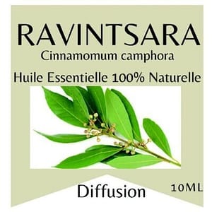 Huile essentielle Ravintsara Huile essentielle Ravintsara